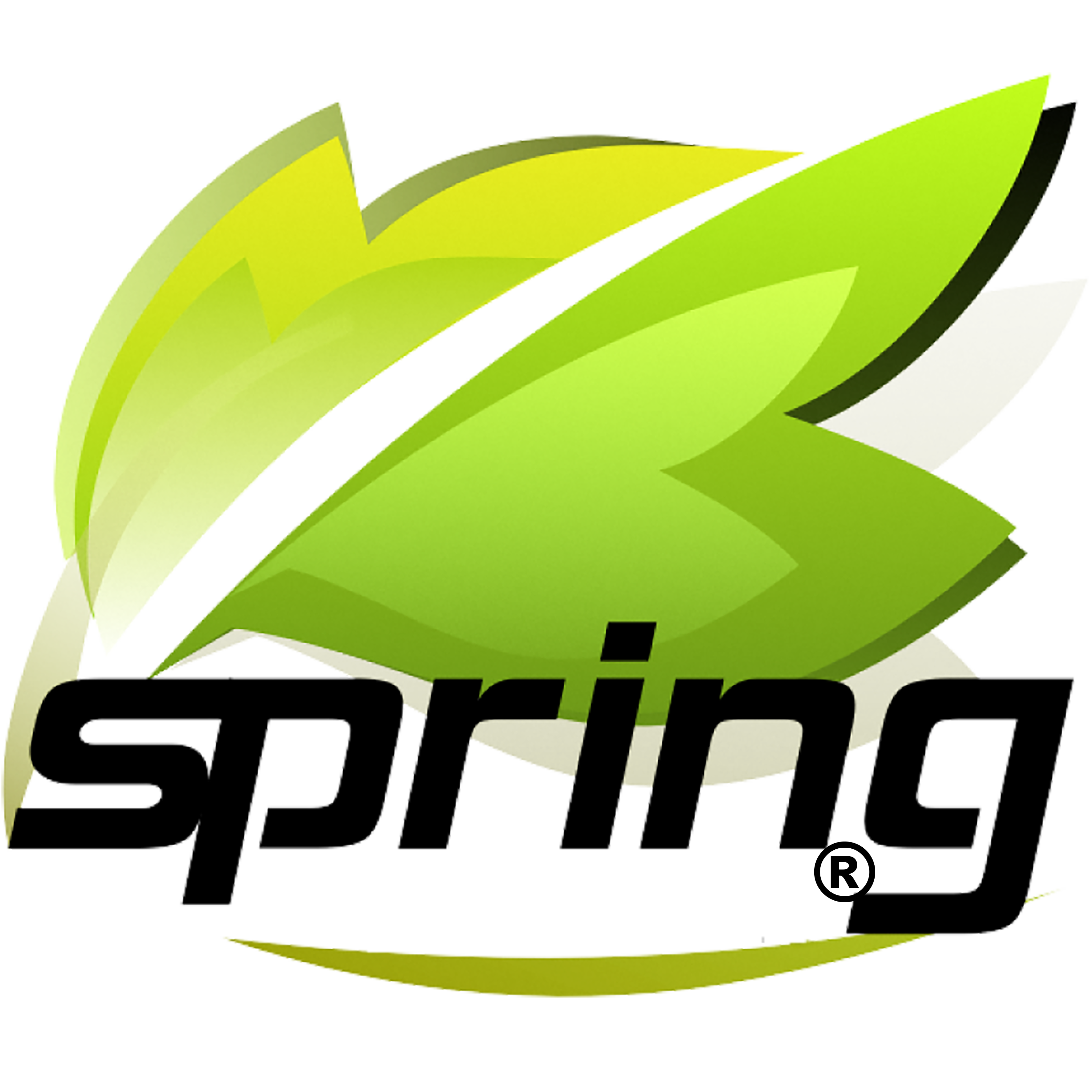 Spring Holding Group Inc